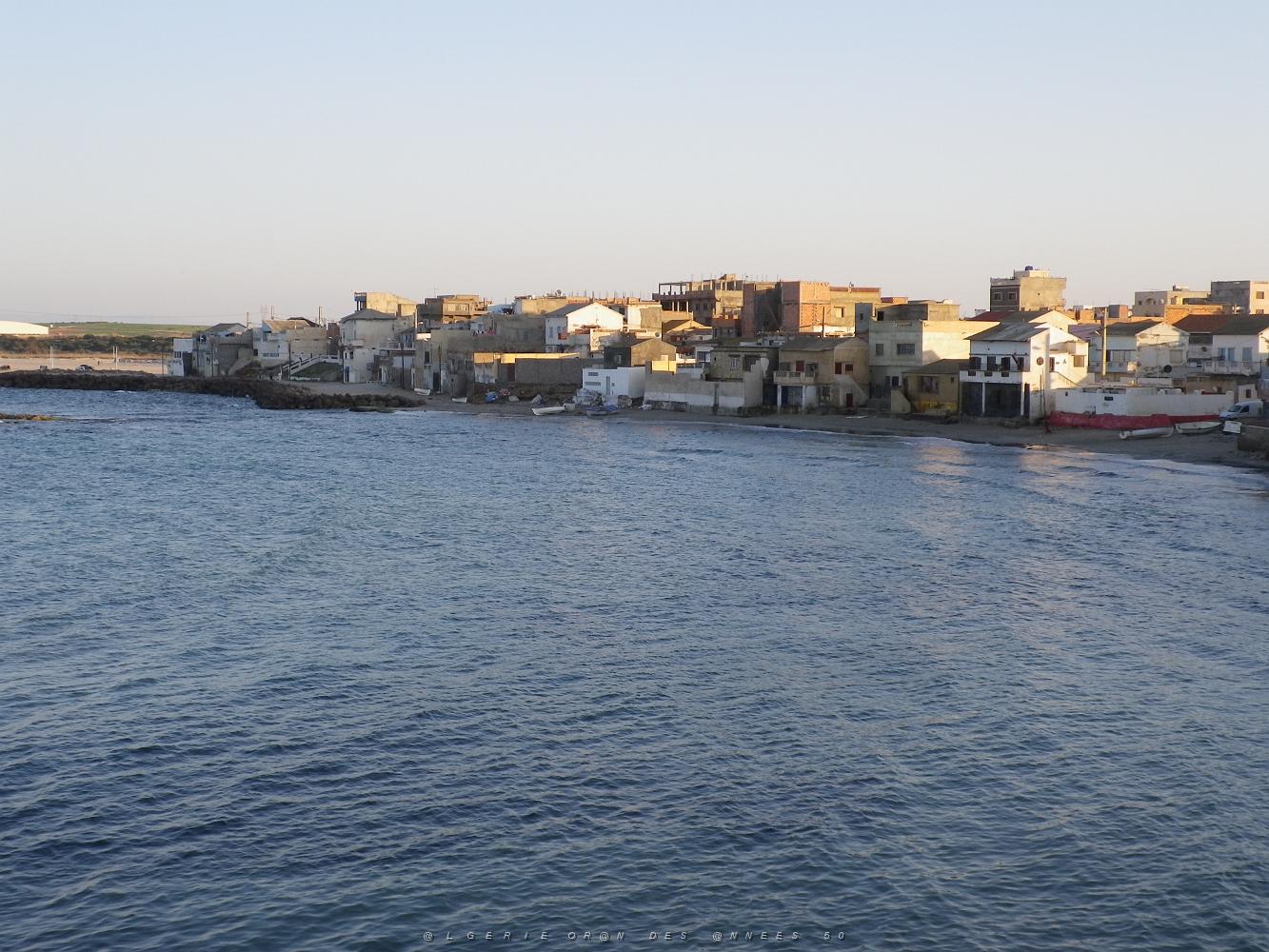 1409 toujours port aux poules .JPG